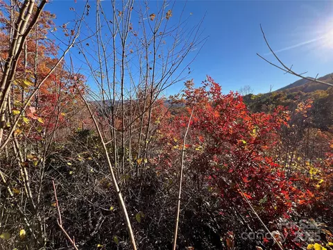 Musket Drive, Almond, NC 28702