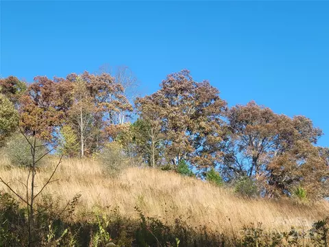00 Kirkpatrick Cv, Clyde, NC 28721 photo 5