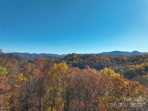 890 Panther Branch Rd, Hot Springs, NC 28743