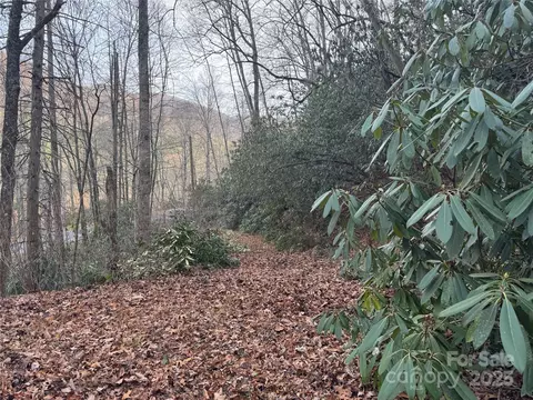 2664 Nc Hwy 9 Hwy, Black Mountain, NC 28711