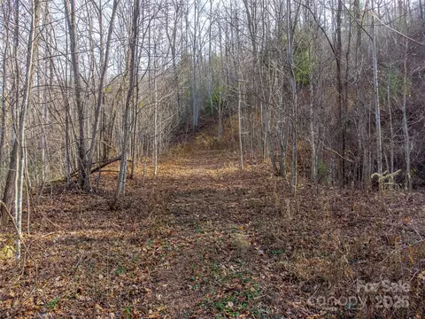 00 Garnet Rd, Sylva, NC 28779 photo 14