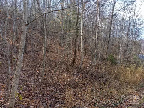00 Garnet Rd, Sylva, NC 28779 photo 16