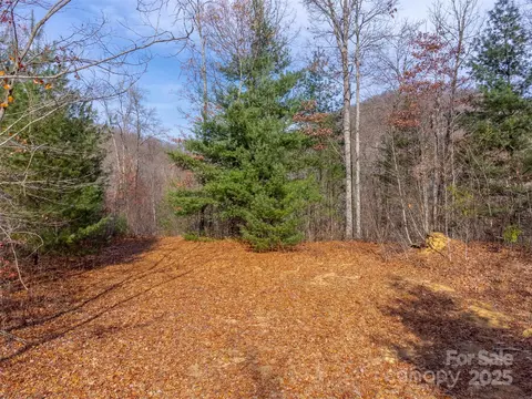 00 Garnet Rd, Sylva, NC 28779 photo 42