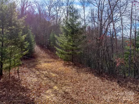 00 Garnet Rd, Sylva, NC 28779 photo 43