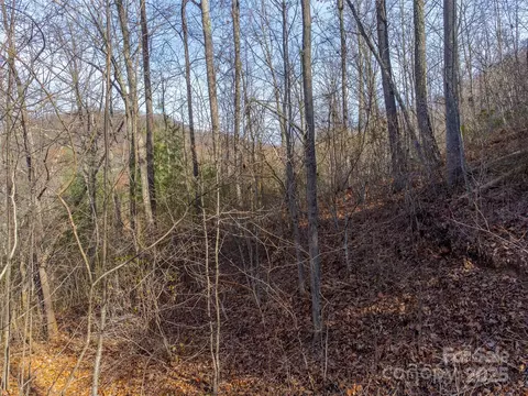 00 Garnet Rd, Sylva, NC 28779 photo 17