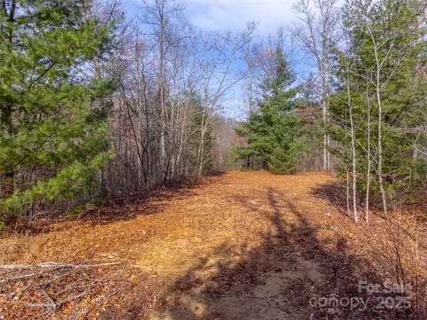 00 Garnet Rd, Sylva, NC 28779 photo 41