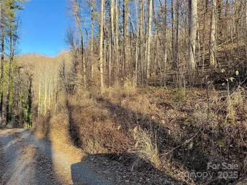 Timberside Drive, Mars Hill, NC 28754