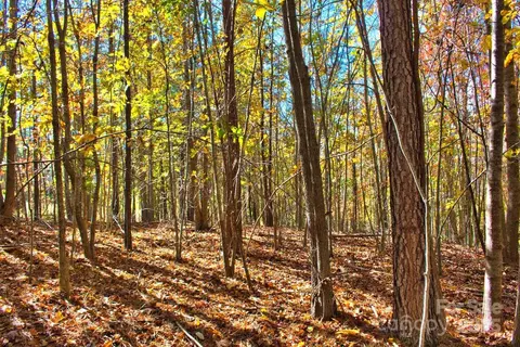 0 Creekside 113 Cir #113, Rutherfordton, NC 28139