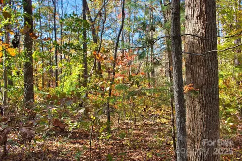 0 Bitteroot 294 Cir #294, Rutherfordton, NC 28139