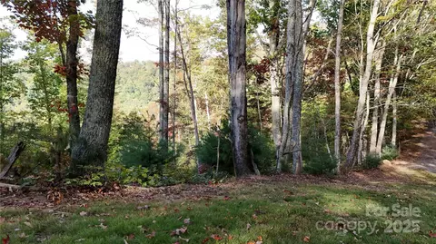 2 Roberts Mountain 2 Rd #2, Clyde, NC 28721 photo 12