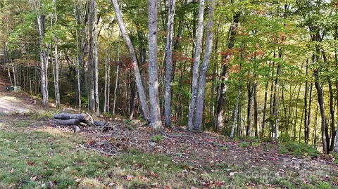 2 Roberts Mountain 2 Rd #2, Clyde, NC 28721 photo 3