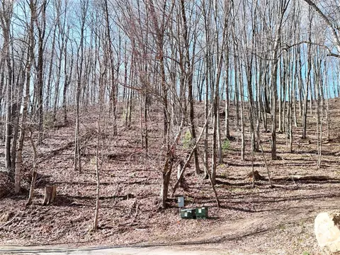 2 Roberts Mountain 2 Rd #2, Clyde, NC 28721 photo 11