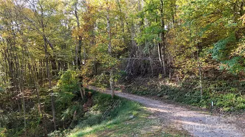 2 Roberts Mountain 2 Rd #2, Clyde, NC 28721 photo 13