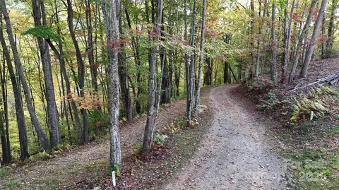 2 Roberts Mountain 2 Rd #2, Clyde, NC 28721 photo 7