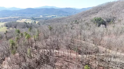 2 Roberts Mountain 2 Rd #2, Clyde, NC 28721 photo 26