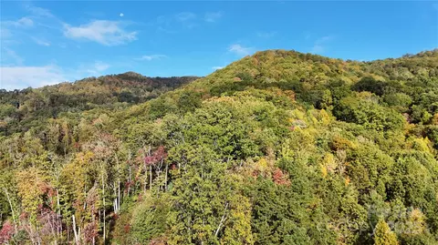 2 Roberts Mountain 2 Rd #2, Clyde, NC 28721 photo 24