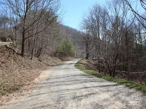 2 Roberts Mountain 2 Rd #2, Clyde, NC 28721 photo 25