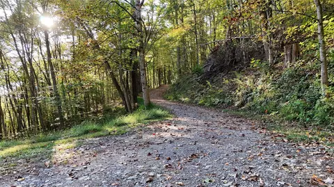2 Roberts Mountain 2 Rd #2, Clyde, NC 28721 photo 8