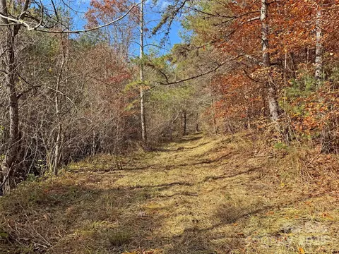 Paint Fork Road, Mars Hill, NC 28754 photo 30