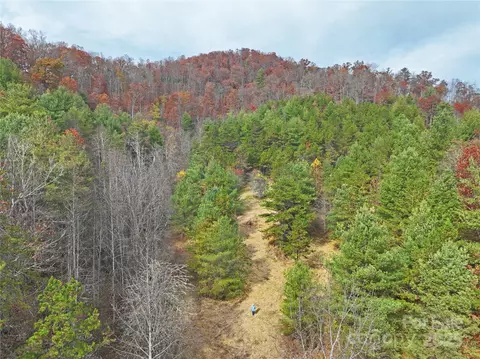 Paint Fork Road, Mars Hill, NC 28754 photo 7