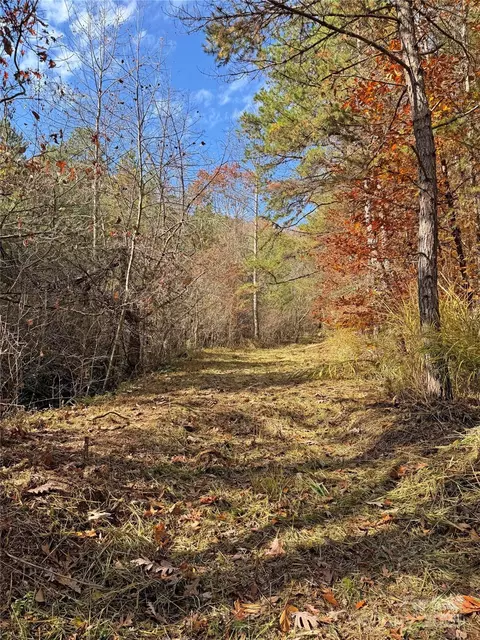 Paint Fork Road, Mars Hill, NC 28754 photo 11