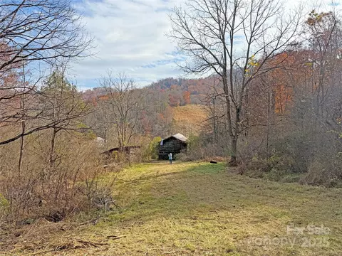 Paint Fork Road, Mars Hill, NC 28754 photo 23