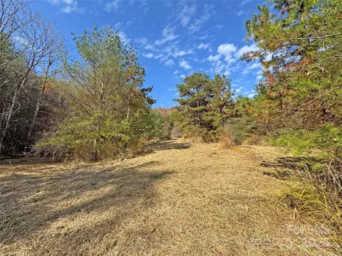 Paint Fork Road, Mars Hill, NC 28754 photo 10