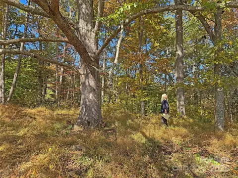 Paint Fork Road, Mars Hill, NC 28754 photo 14