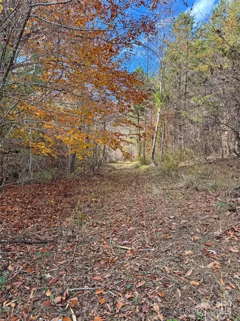 Paint Fork Road, Mars Hill, NC 28754 photo 29