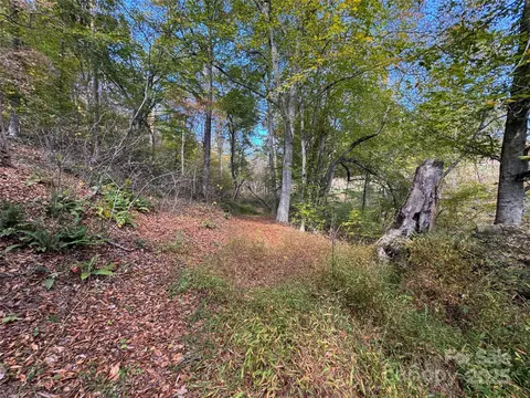 Paint Fork Road, Mars Hill, NC 28754 photo 24