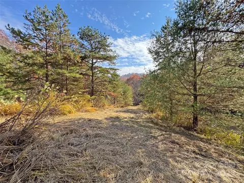 Paint Fork Road, Mars Hill, NC 28754 photo 33