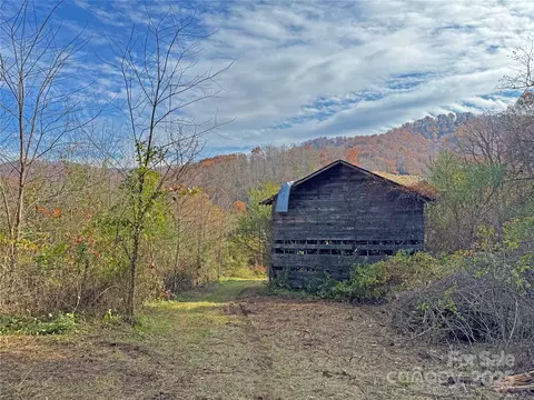 Paint Fork Road, Mars Hill, NC 28754 photo 34