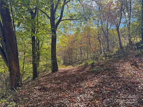 Paint Fork Road, Mars Hill, NC 28754 photo 12