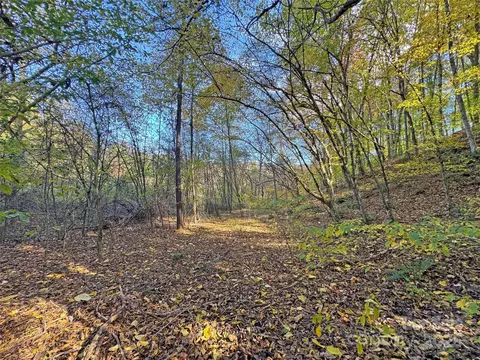 Paint Fork Road, Mars Hill, NC 28754 photo 27