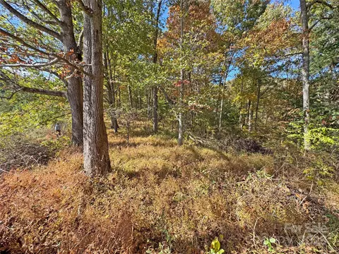 Paint Fork Road, Mars Hill, NC 28754 photo 13
