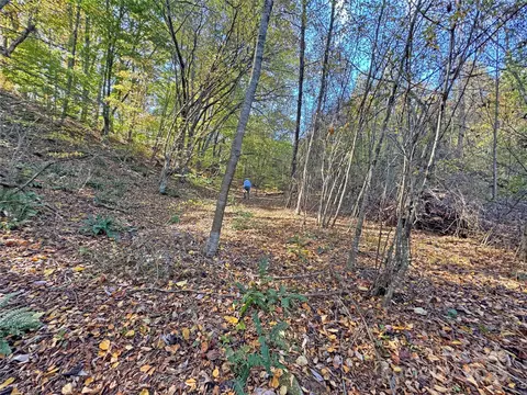 Paint Fork Road, Mars Hill, NC 28754 photo 26