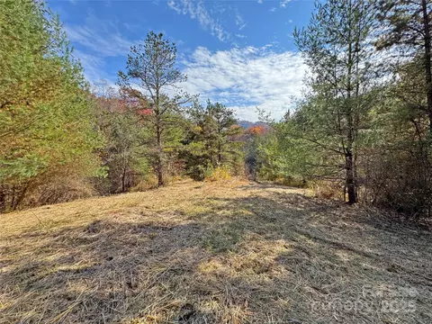 Paint Fork Road, Mars Hill, NC 28754 photo 8