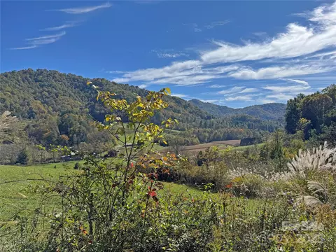 Paint Fork Road, Mars Hill, NC 28754 photo 16