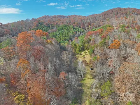 Paint Fork Road, Mars Hill, NC 28754 photo 20