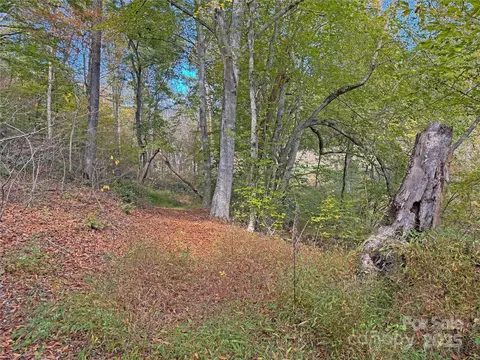 Paint Fork Road, Mars Hill, NC 28754 photo 18