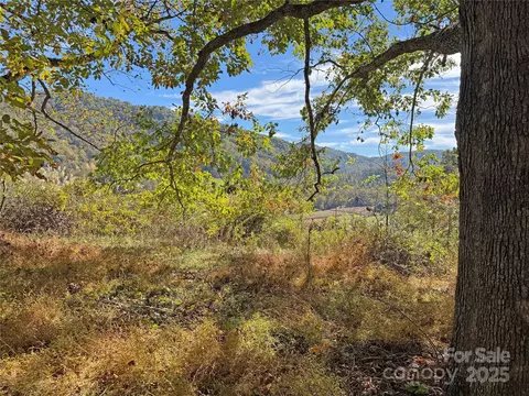 Paint Fork Road, Mars Hill, NC 28754 photo 15