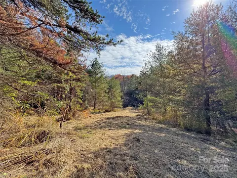 Paint Fork Road, Mars Hill, NC 28754 photo 32