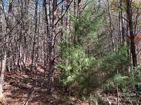 00 N Fork Rd, Bostic, NC 28018 photo 9