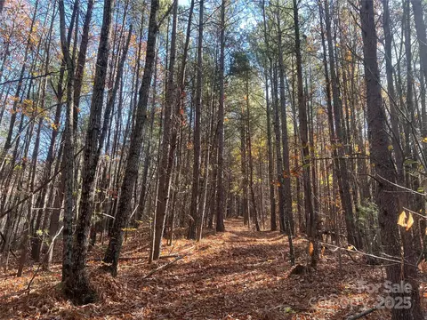 00 N Fork Rd, Bostic, NC 28018 photo 11