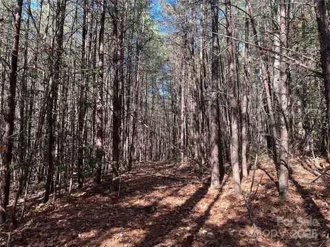 00 N Fork Rd, Bostic, NC 28018 photo 5