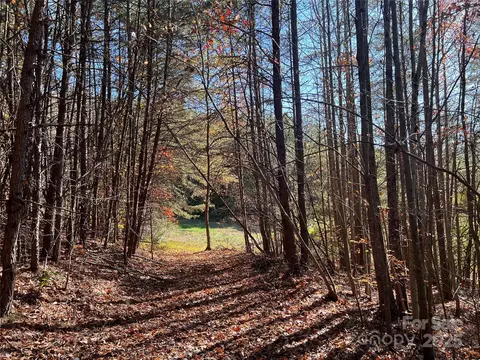 00 N Fork Rd, Bostic, NC 28018 photo 6