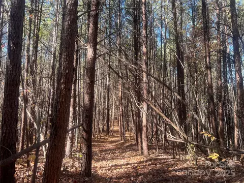 00 N Fork Rd, Bostic, NC 28018 photo 10