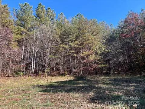 00 N Fork Rd, Bostic, NC 28018 photo 7