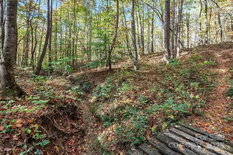 Other - 481 Eupeptic Springs Rd, Olin, NC 28660 photo 13 of 13