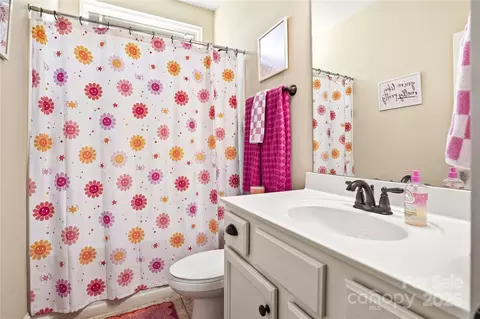 Bath - 3168 Delaware Dr, Denver, NC 28037 photo 3 of 4